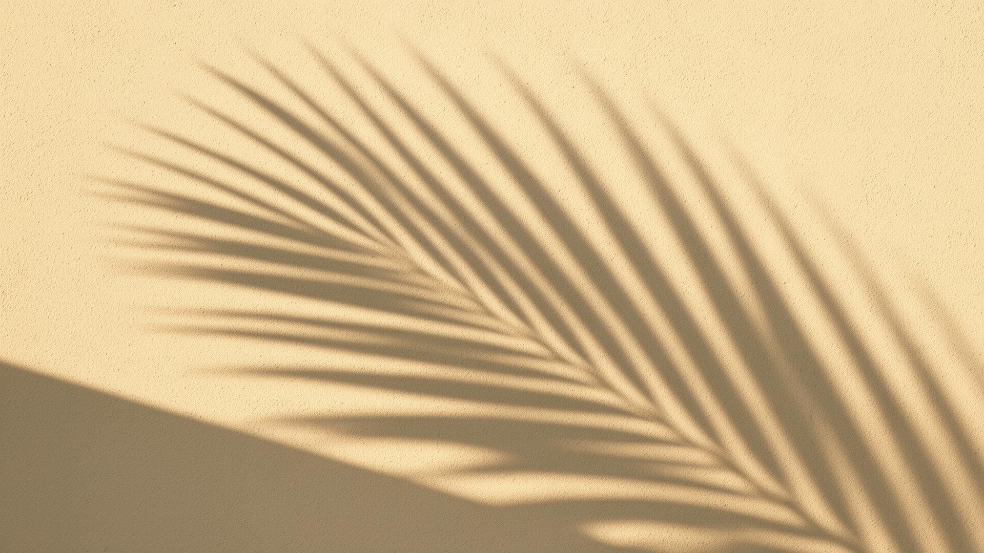 Smooth stone resting on warm sand with palm shadow